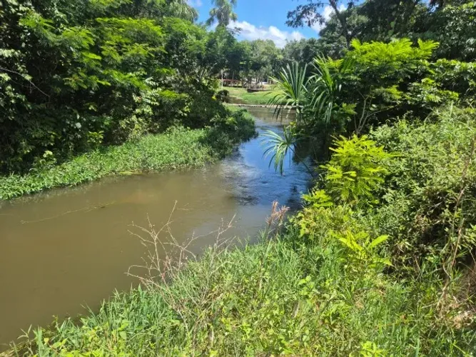 Vende-se um terreno com 1.840 m2 no Rio Preto da Eva