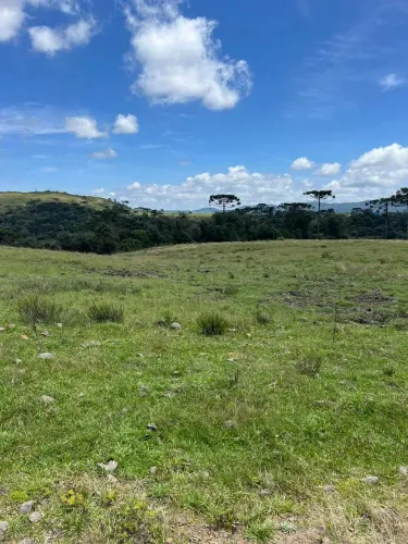 Terreno com ótimo acesso, energia elétrica instalada e desconto de 15% à vista