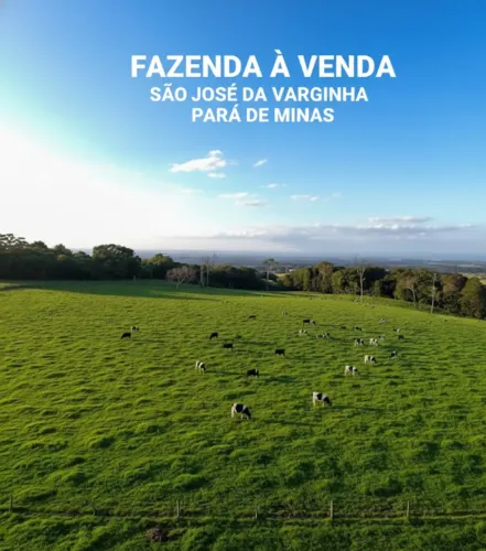 Fazenda 53ha Riquíssima em Água, Vista Incrível, 2km do Asfalto, Terra Vermelha