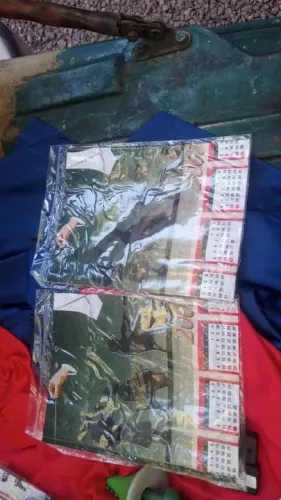 Lote 15 Calendários antigos