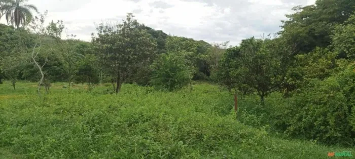 Três Marias - Fazenda próximo à represa - Ideal para plantação de Eucalípto