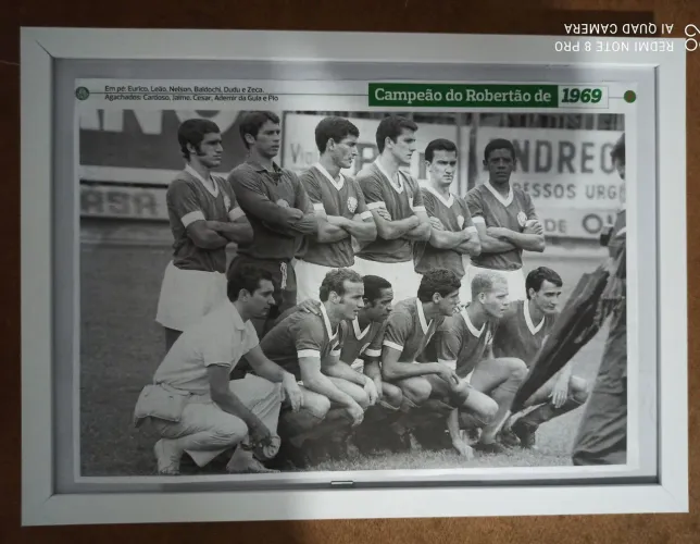 Quadro palmeiras campeão brasileiro 1969. 33 x43. Com tela plástico