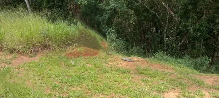 Terreno à venda, 990 m² - Portal do Aeroporto - Juiz de Fora/MG