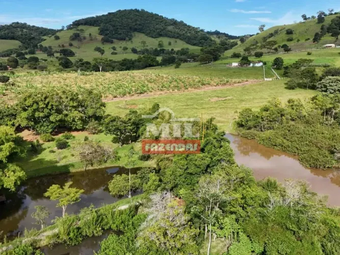 Chácara 3,61 alqueires (17,5 hectares) Taquaral - Go