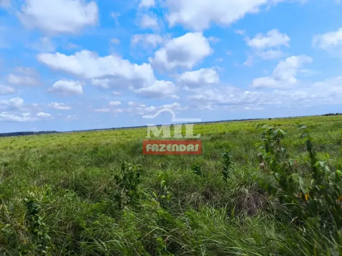 Fazenda 450 Alqueires (2.178 Hectares) Santana do Araguaia - PA