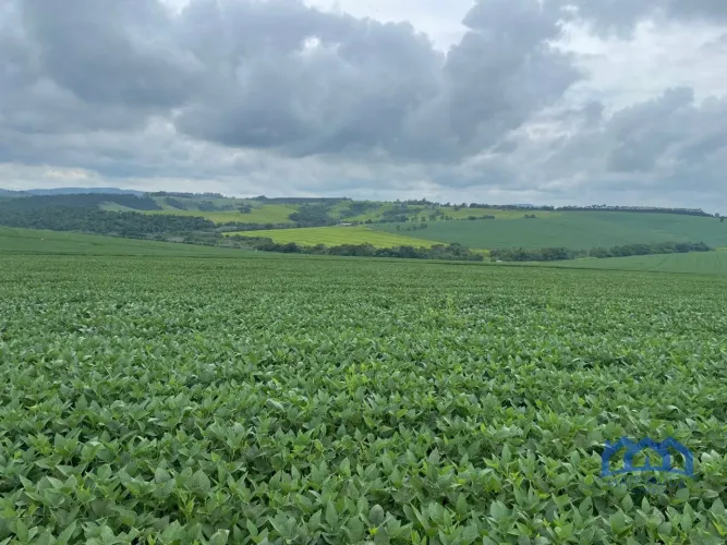Sítio/Fazenda à Venda, 287 alqueires por R$ 71.150.000 Cód. ch2166