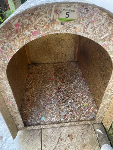 Casa de cachorro