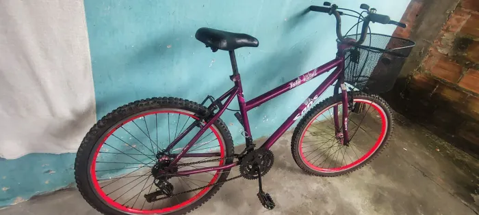 Bicicleta feminina 