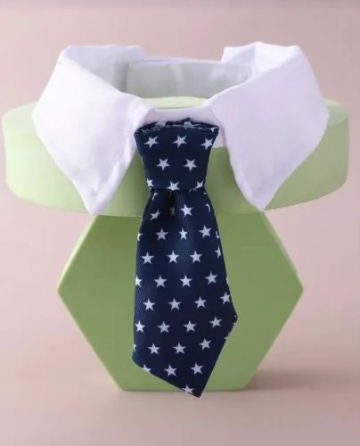 Gravata para cachorro 