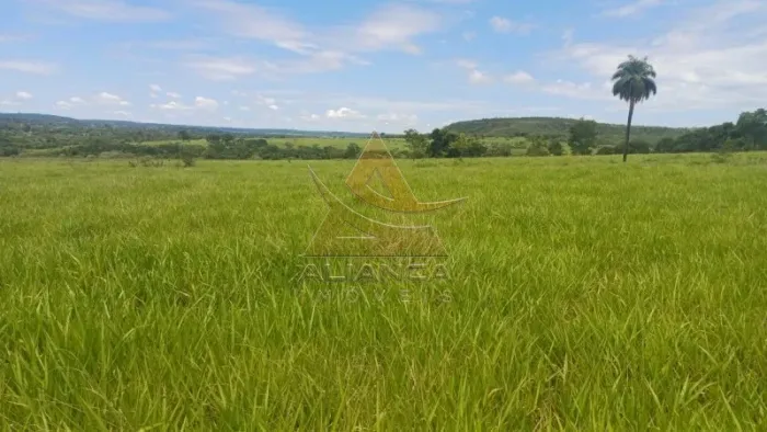 Fazenda - Comendador Gomes - Zona Rural