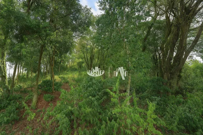 Terreno à venda, 5559 m² por R$ 450.000,00 - Chácaras São Miguel - Londrina/PR