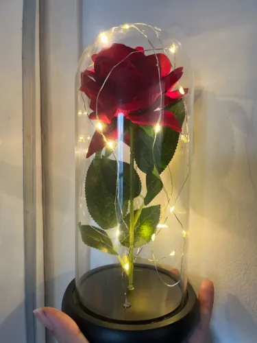Rosa Encantada A Bela e a Fera Disney Original - Cúpula de Vidro com LED