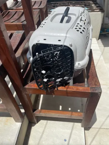 Caixa pra transportar gatos