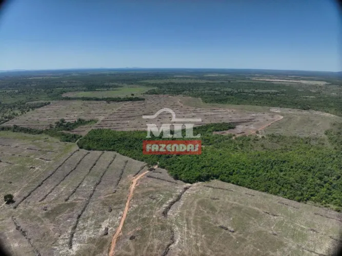Fazenda 248 Alqueires (1.203 Hectares) Couto de Magalhães - TO