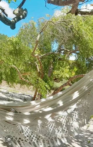 Vendo Lotes no Povoado Flexeiras em Santo Amaro das Brotas