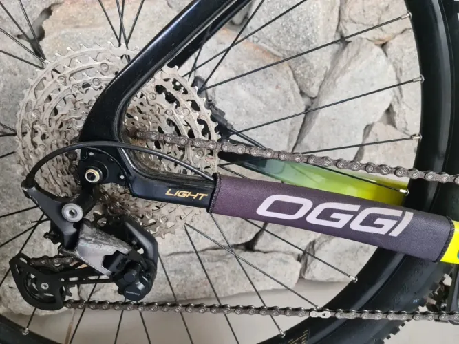 Bicicleta oggi