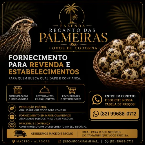 ovos de codornas