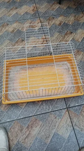 Gaiola para porquinho da índia/ coelho 