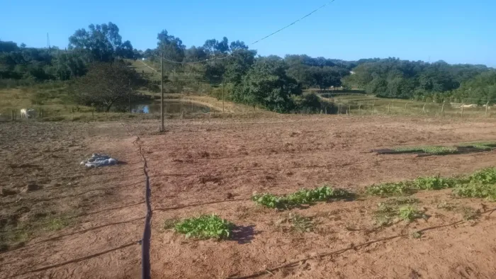 Sítio para Venda em Álvares Machado, Rural