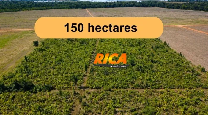 Vende-se Excelente Fazenda com 150 Hectares- Itapuã Do Oeste- RO