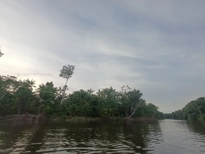 VENDO TERRENO PRÓXIMO AO RIO BAIANO