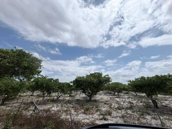 TERRENO RESIDENCIAL em PACAJUS - CE, Tiririca
