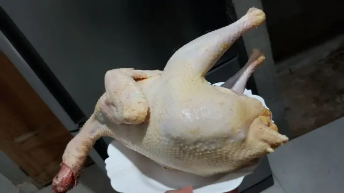 Galinha caipira tratada e pronta para cozinhar 