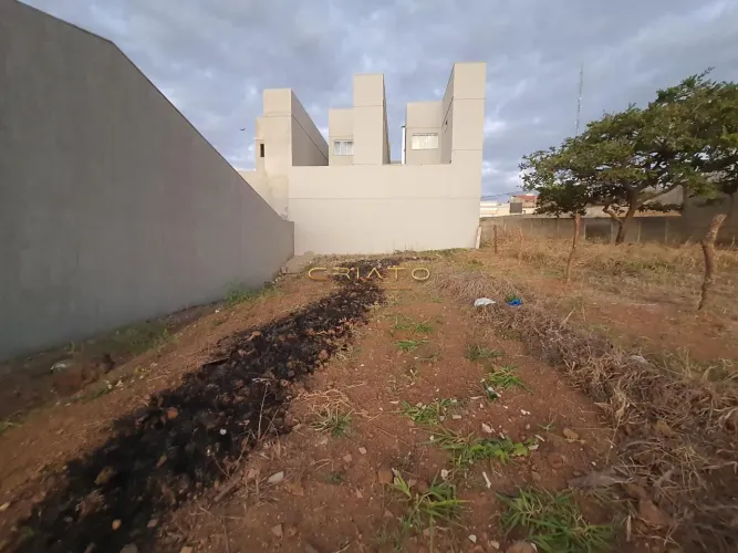 Lote Bairro Setor Sul Jamil Miguel 375m² R$ 200.00 em Anápolis