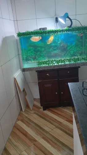 Vendo esse aguario no precinho 