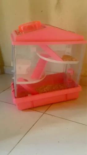 Casa de Hamster