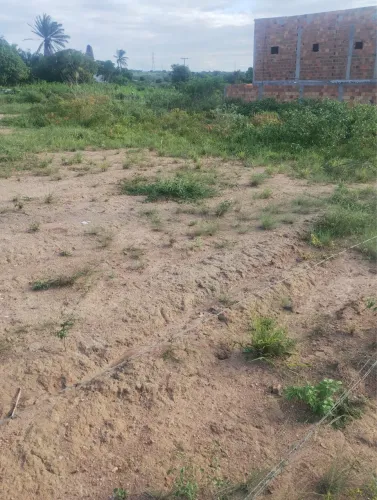 Vendo terreno