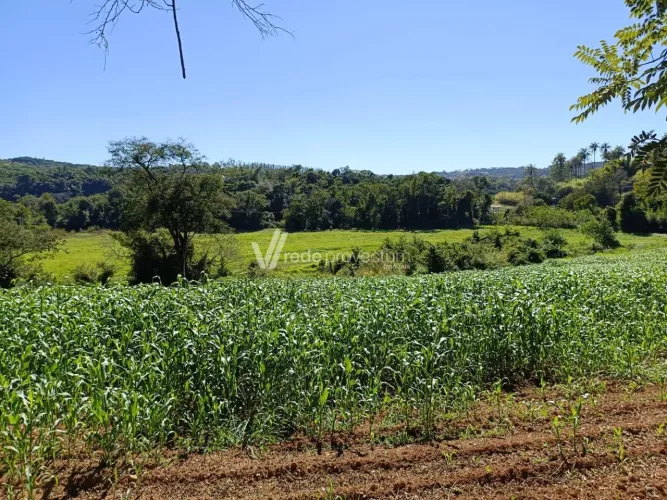 terreno - Área Rural de Pedreira - Pedreira