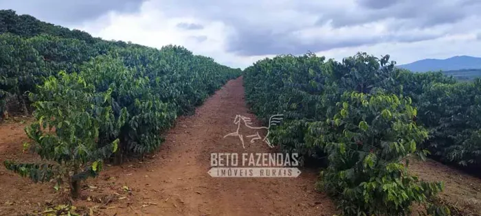 Imóvel para venda com 484000 metros quadrados em Area Rural de Tres Pontas - Três Pontas -