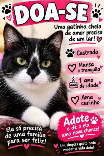 Gata fêmea