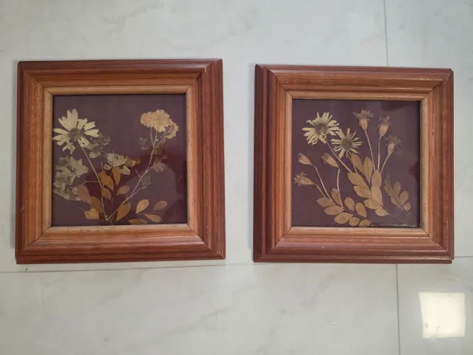 Quadro folhas preservadas com proteção em vidro em moldura de madeira<br>