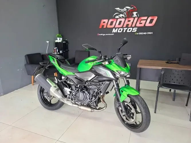 Kawasaki Z 500 2025
