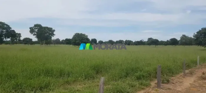 FAZENDA À VENDA - 1.569 HECTARES - JANUÁRIA (MG)