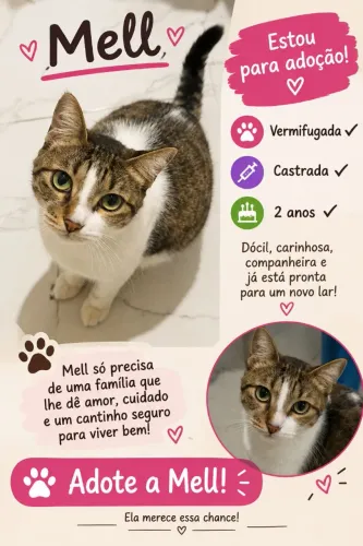 Doação