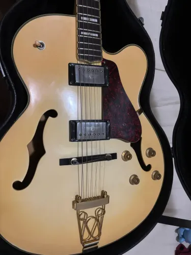 Guitarra Semi acústica The light Crust Dougboys