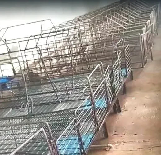 Granja Suína - Box Maternidade e Gestação + Pisos | Desconto de 70% no cartão