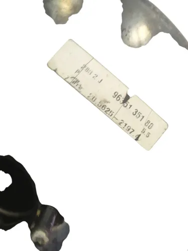 Hidrovacuo Servo Freio Citroen Xsara Picasso 2009 A 2012