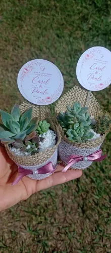 Lembrancinhas de suculentas decoradas