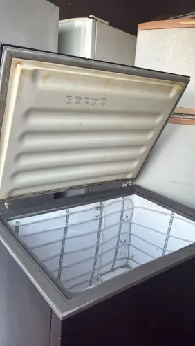 Freezer 3 mês de ha