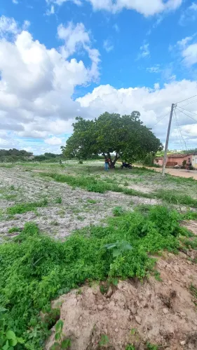 Repasse  de um lote em Santa maria do cambuca 4,500 de entrada parcelas de 250,00