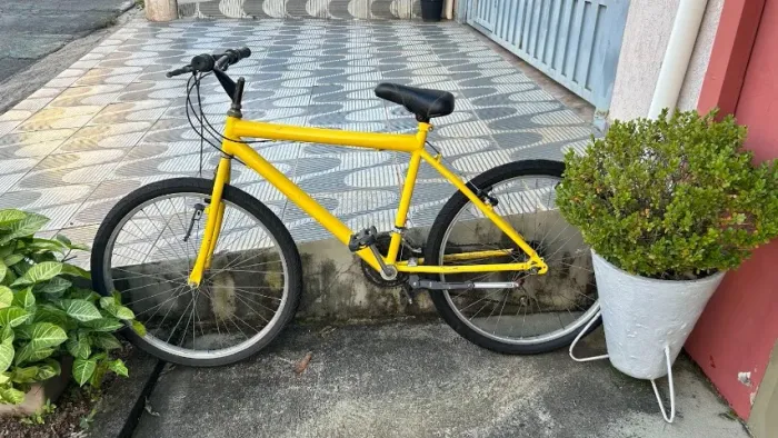 Bicicleta