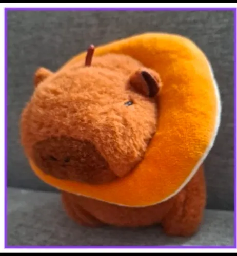 Pelúcia Capivara com boia