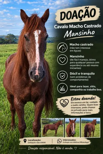 ? Doação de cavalo ?