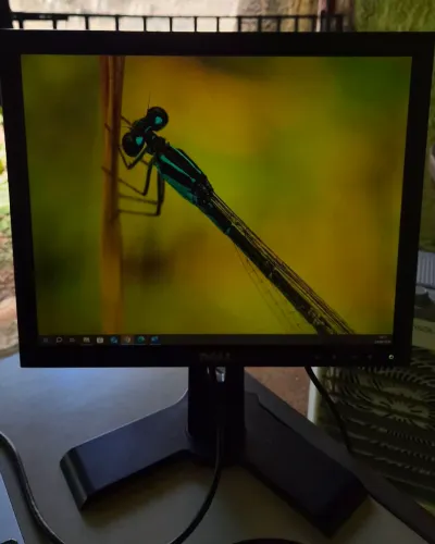 Monitor Dell P170S 17" - DVI/VGA - Base Ajustável + Cabo HDMI