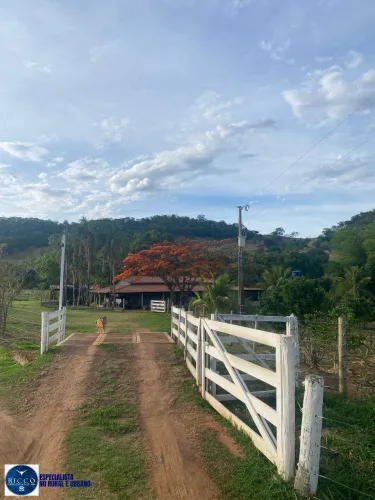 Chácara à Venda em Taquaral de Goiás 3,5 Alqueires | Rica em Água
