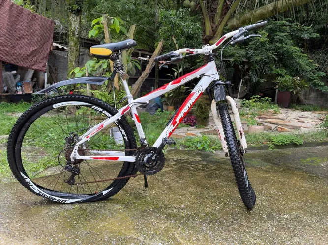 Bicicleta Alfameq branca